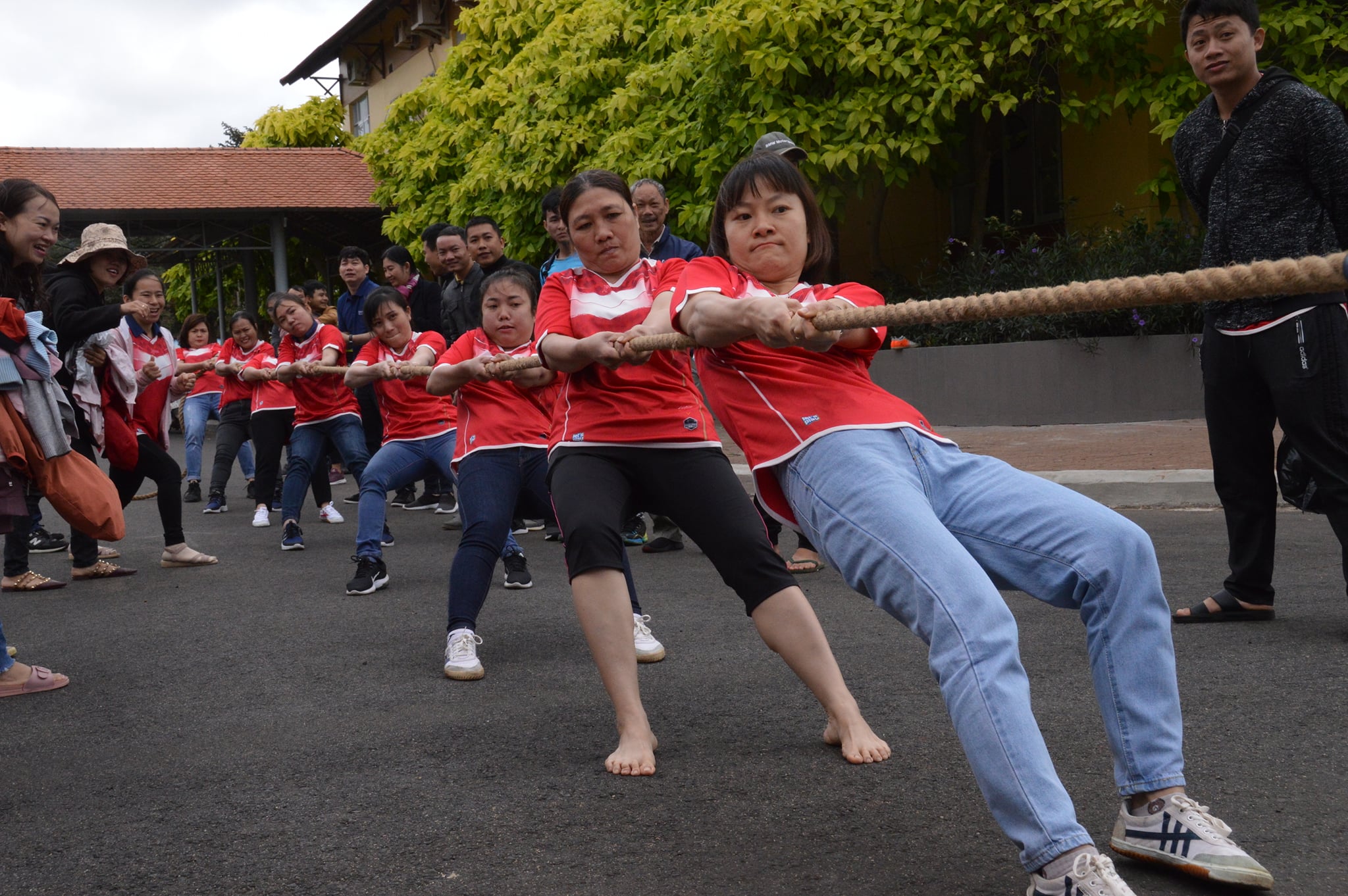 137530183_2905560113104057_5789132663667617691_o